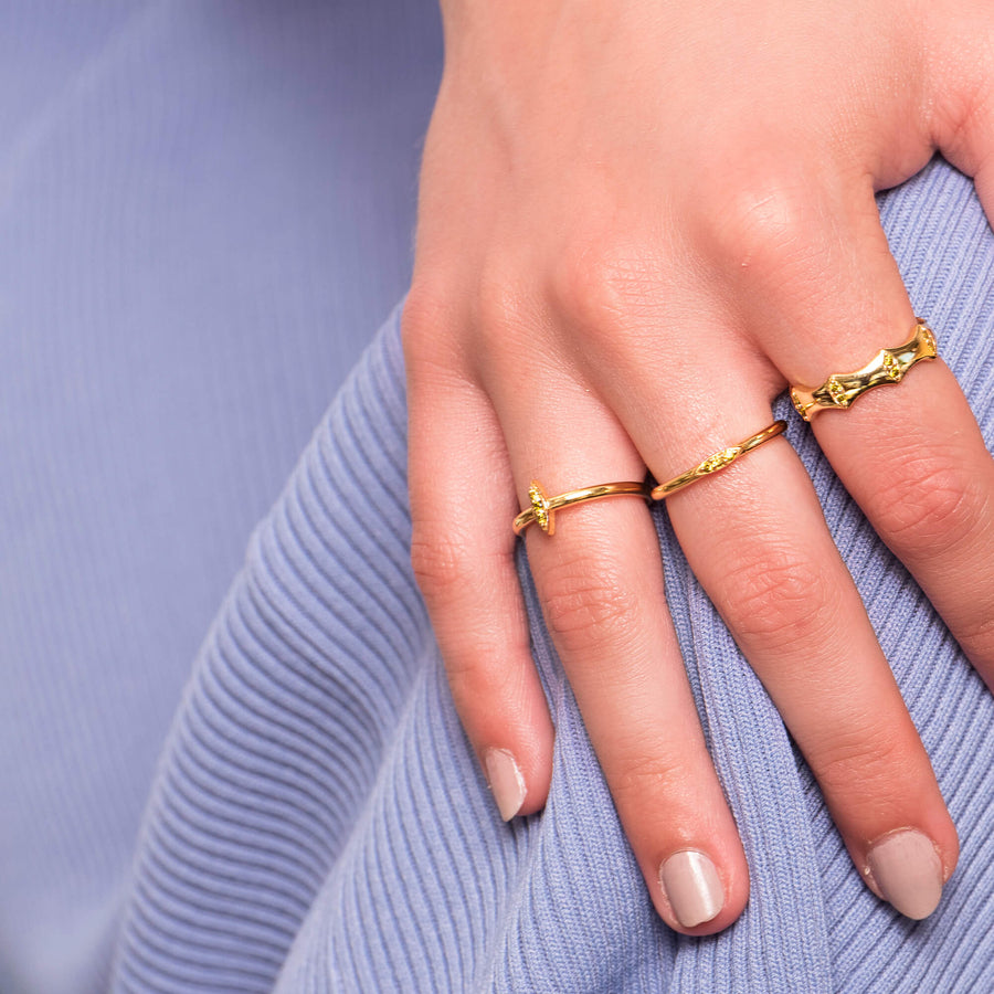 lavani Anillo Fez Ofertas especiales