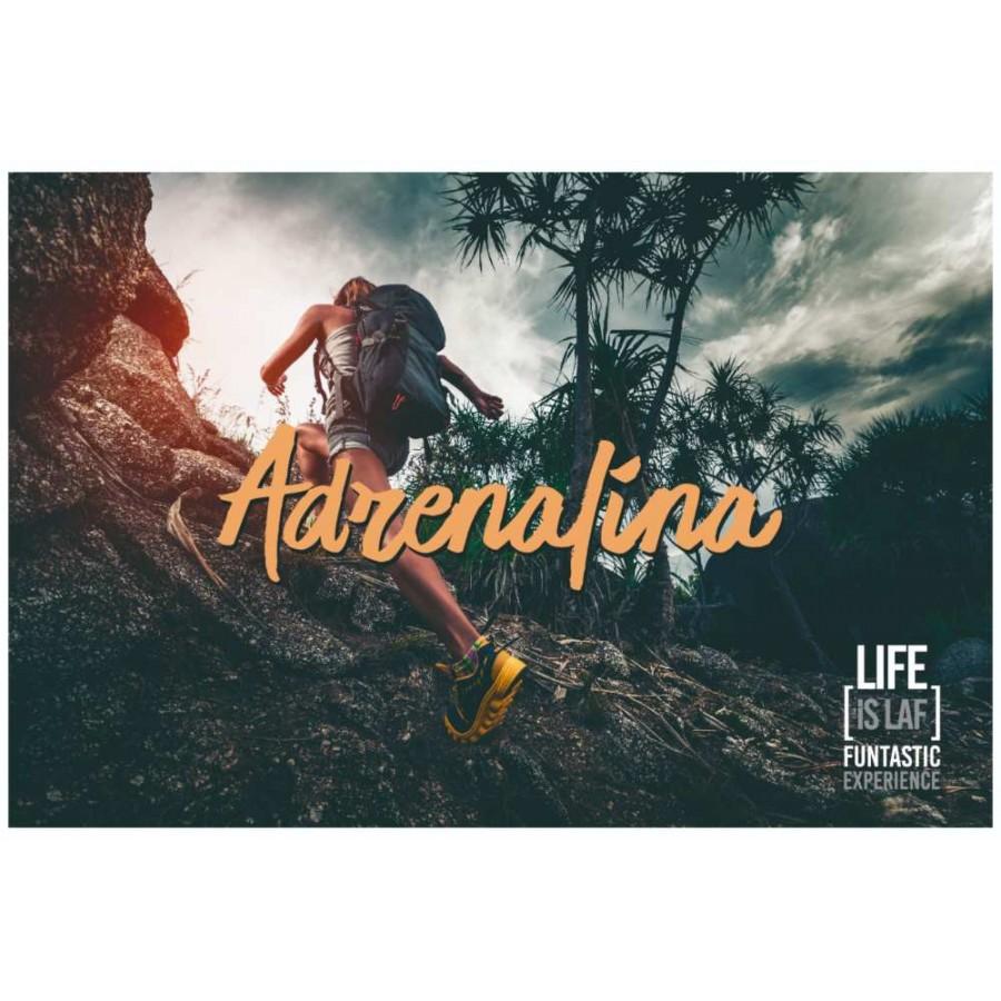 live is laf Box Aventuras Precio de fábrica