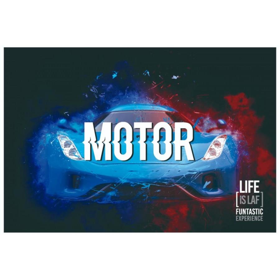 live is laf Box Piloto de Carreras Promoción por tiempo limitado