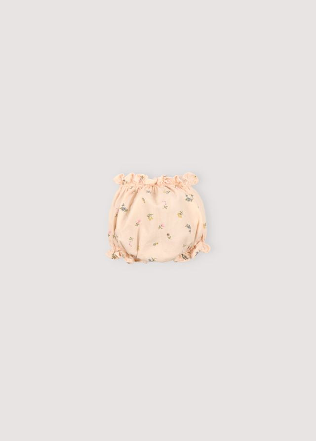 the new society Camellia Baby Bloomer Limitado a 3 días