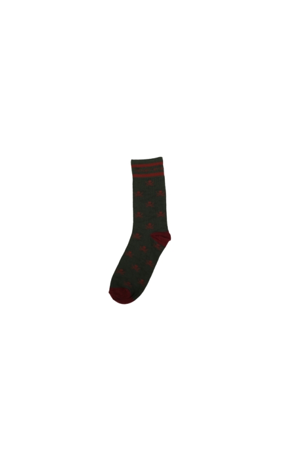 the time of bocha polo team Calcetines - 4 Hombre The Time Of Bocha PI1SOCKS-4 Verde