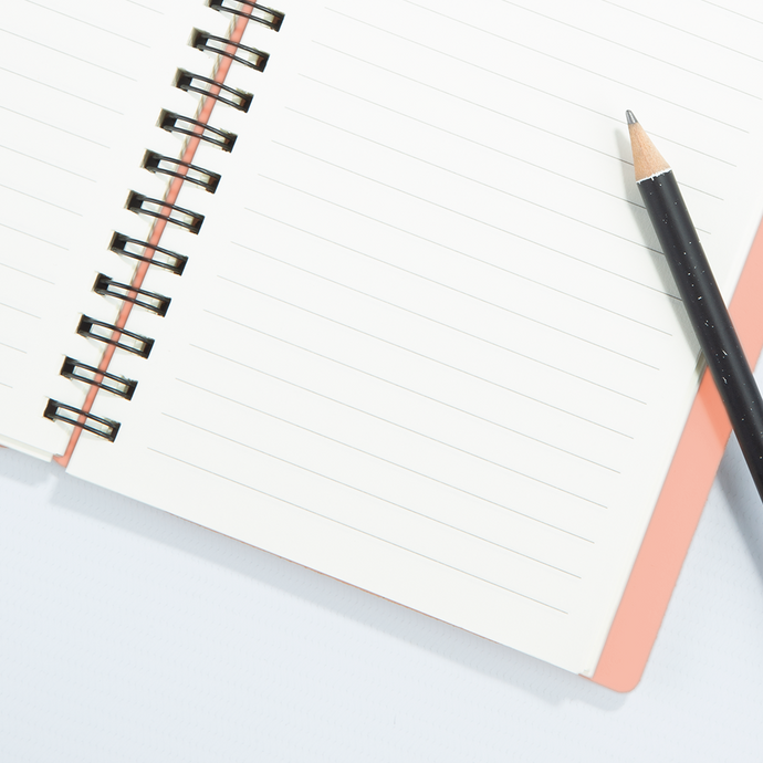 vacavaliente | Libreta Plein Air Rayado A6 Pink Sand Envío gratis