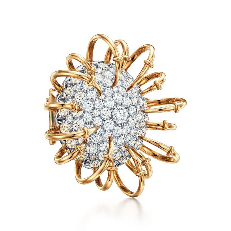 Tiffany & Co. Tiffany & Co. Schlumberger Broche Apollo en oro amarillo y platino con diamantes Rebajas online