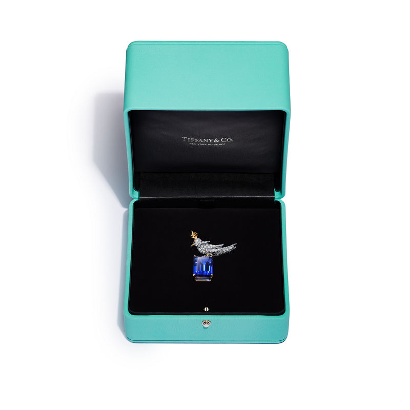 Tiffany & Co. Schlumberger by Tiffany & Co.™ Broche Bird on a Rock en oro amarillo y platino Outlet online