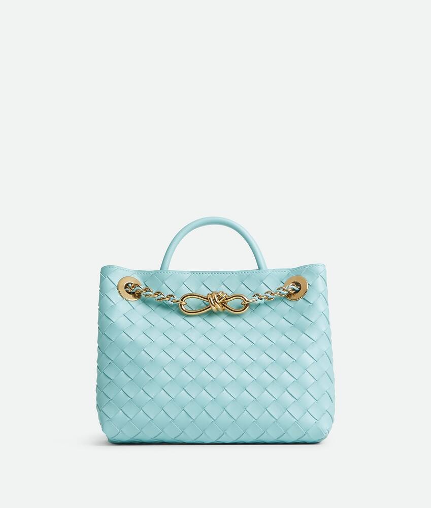 Bottega Veneta Bolso Andiamo Chain pequeño Mejor oferta
