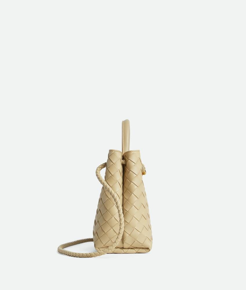 Bottega Veneta Andiamo pequeño Tienda de fábrica