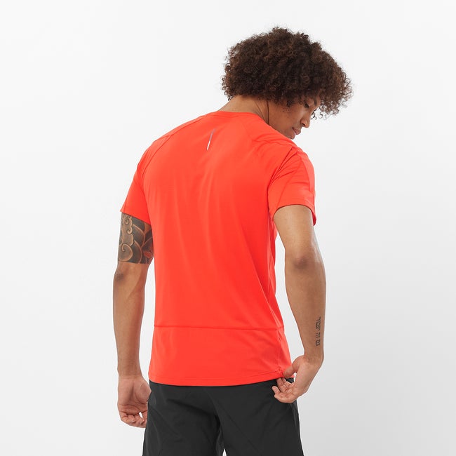 Salomon Cross Run - Camiseta de manga corta para hombre Outlet