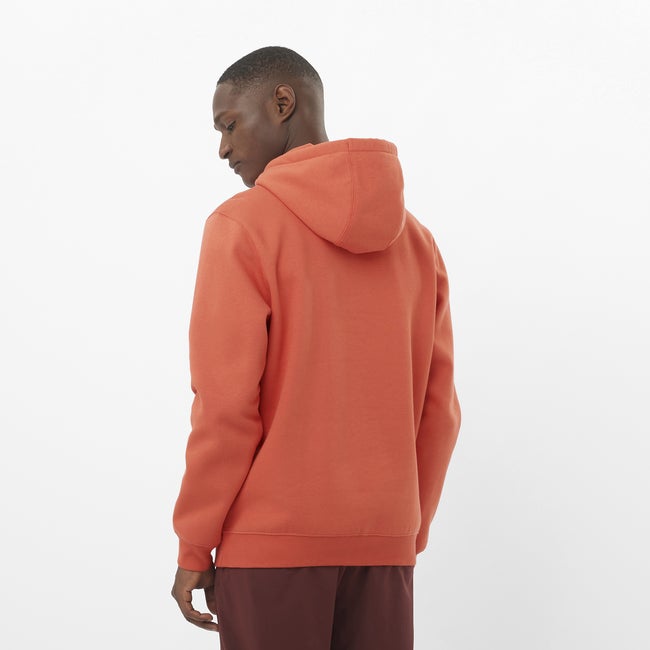 Salomon Podium - Sudadera con capucha para hombre Tienda
