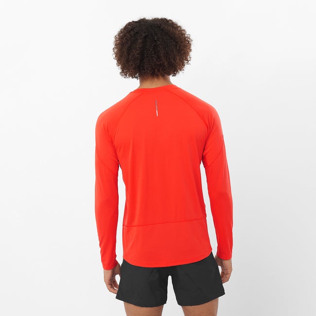 Salomon Cross Run - Camiseta de manga larga para hombre Oferta exclusiva